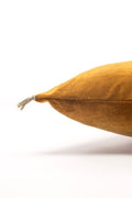 Coussin velours bronze 2