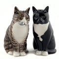 Sel poivre chat 1
